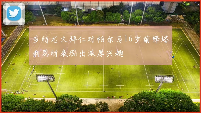 多特尤文拜仁对帕尔马16岁前锋塔利恩特表现出浓厚兴趣