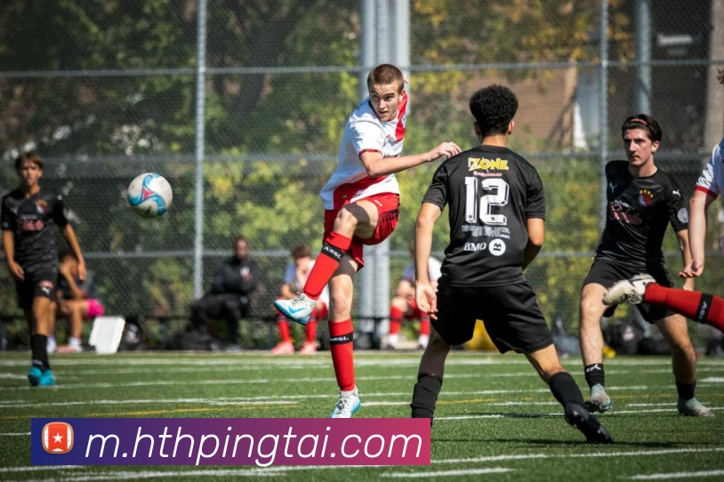 华体会体育平台生态图