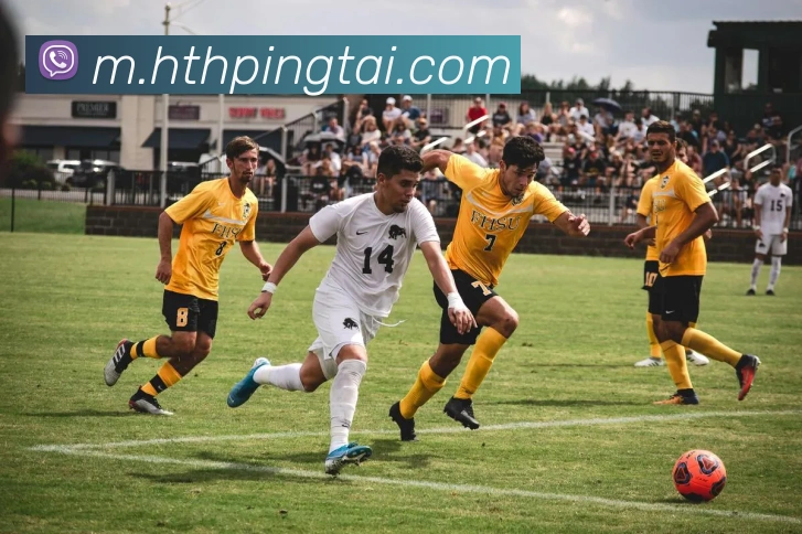 华体会体育全站App